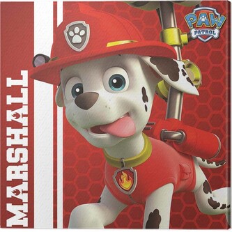 Obraz na plátně Paw Patrol - Marshall Ready to Rescue, 2 cm - 40×40 cm