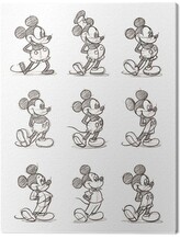 Obraz na plátně Mickey Mouse - Multi, 2 cm - 40×50 cm