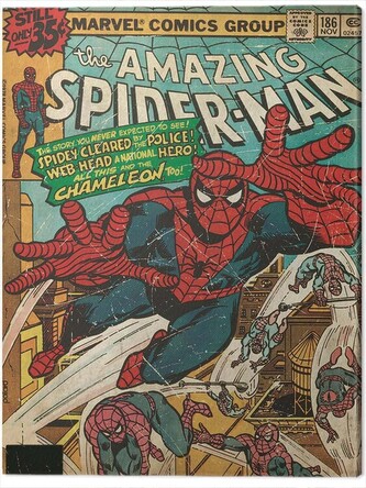 Obraz na plátně Spider-Man - Chameleon, 2 cm - 60×80 cm