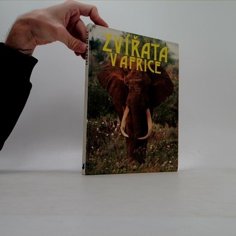 Zvířata v Africe