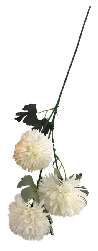 Chryzantéma krémová 63 cm