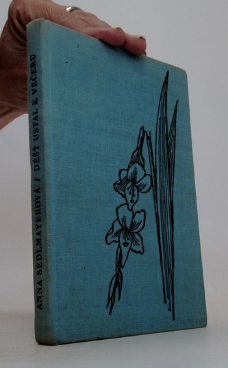 Déšt' ustal k večeru