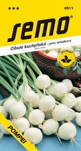 Cibule jarní - Pompei (Aviv) lahůdková bílá 1,6g