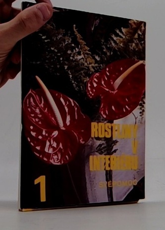 Rostliny v interiéru 1