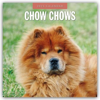 Chow Chows Chow Chow 2025 16 Monatskalender Red Robin Megaknihy Cz Chow Chows Chow Chow 2025 16 Monatskalender