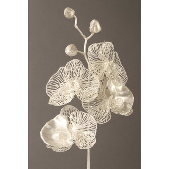 Orchidej bílá s glitry  380973W