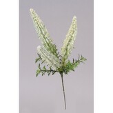 Vřes krém  100-0037