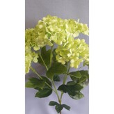 Hortenzie větvička  52477-01