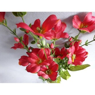 Kytička, 6 barev, Barva fuchsiová  EJ009