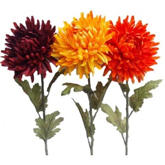 Chryzantéma, 3 ks  8833174A