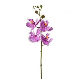 Orchidej, 44 cm  3019059-80