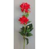 Jiřina, 1 ks, beauty  12-4919/bty