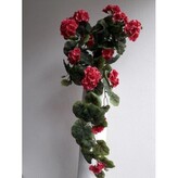 Muškát převis/tmavě růžová  J169