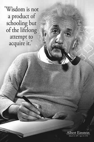 Plakát, Obraz - Einstein - Wisdom, 61 × 91.5 cm