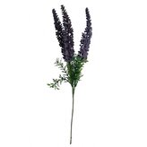 Vřes modro-fialový  100-0046