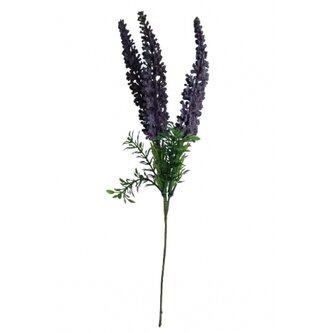 Vřes modro-fialový  100-0046