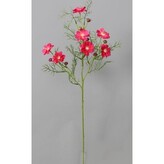 Cosmos - Krásenka  100-0114/BTY