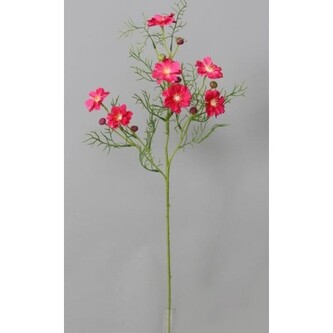 Cosmos - Krásenka  100-0114/BTY