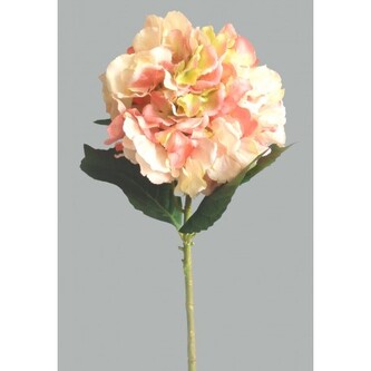 Hortenzie  100-0085/WP