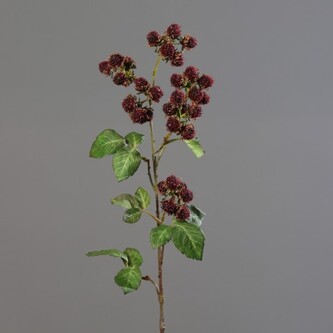 Ostružiny větvička  65272