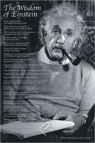 Plakát, Obraz - Wisdom of Einstein, 61 × 91.5 cm