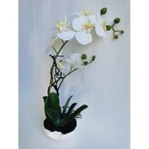Orchidej bez květináče nebo rozbitý kv., 42 cm  115812-40 bez