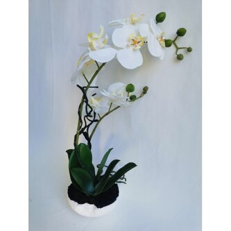 Orchidej bez květináče nebo rozbitý kv., 42 cm  115812-40 bez