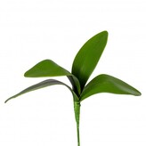 Listy orchideje x 4  1918004-50