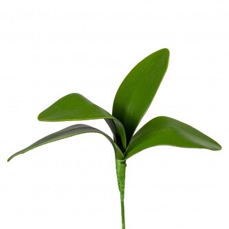 Listy orchideje x 4  1918004-50