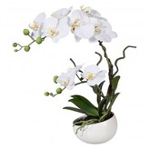 Orchidej v květináči, 42 cm  115812-40