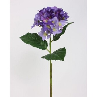 AA Hortenzie  100-0055/PU