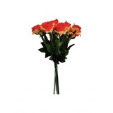 Růže červeno-zelinkavá, 12 ks  AF001/čer.zel.