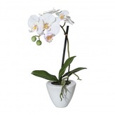 Orchidej v květináči, 36 cm  1116000-40