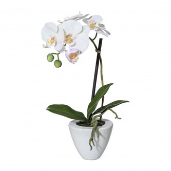 Orchidej v květináči, 36 cm  1116000-40