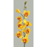 Orchidej  93554/žlutá