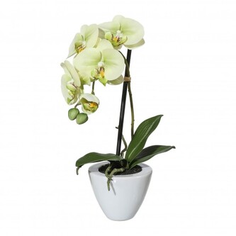 Orchidej v květináči, 36 cm  1116000-50