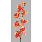 Orchidej  93555/oranžovo-žlutá