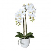 Orchidej v květináči, 43 cm  1116010-40