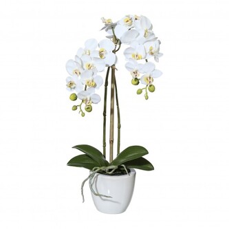 Orchidej v květináči, 43 cm  1116010-40