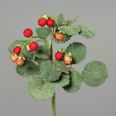 Maliny svazek  65261