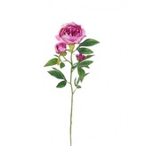 Pivoňka x3 LAV., 66 cm  100-0154/LAV