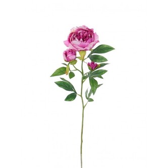 Pivoňka x3 LAV., 66 cm  100-0154/LAV