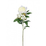 Pivoňka x3 krém, 66 cm  100-0154/CR