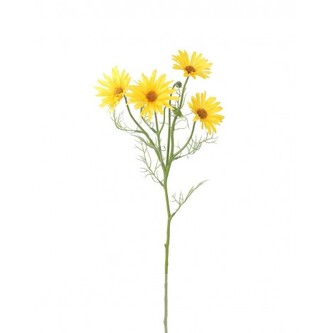 Kopretina žlutá  100-0161/YE