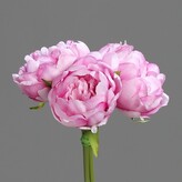 Pivoňka kytička  42916-20