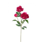 Pivoňka x3 PU., 67 cm  100-0155/PU