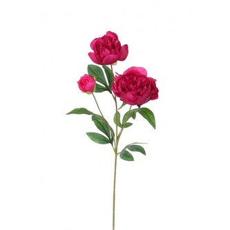 Pivoňka x3 PU., 67 cm  100-0155/PU