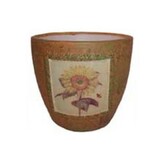 Obal slunečnice  800-0019