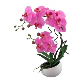 Orchidej v květináči, 42 cm  115812-80