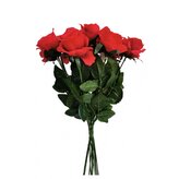 Růže červená, 12 ks  AF001/červ.